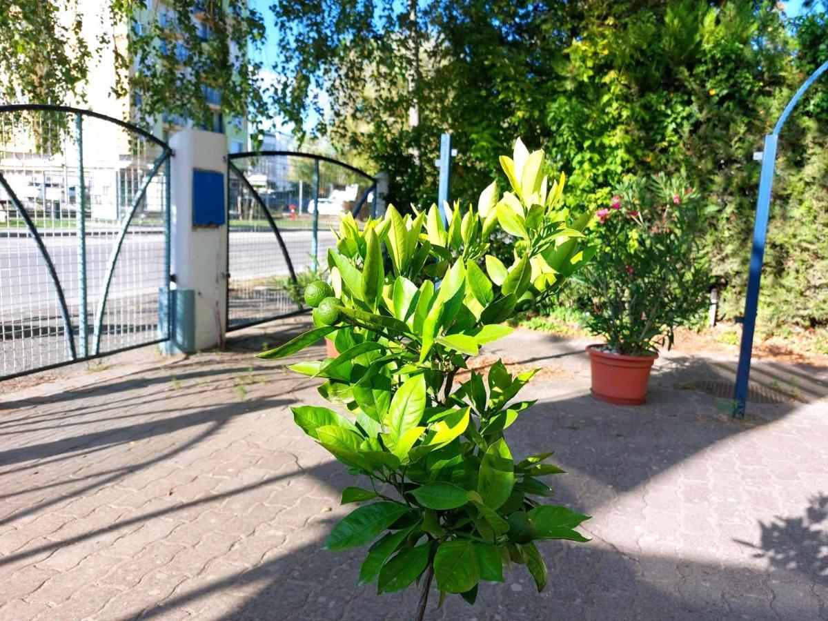 Szeplak Apartman Siófok Exterior foto